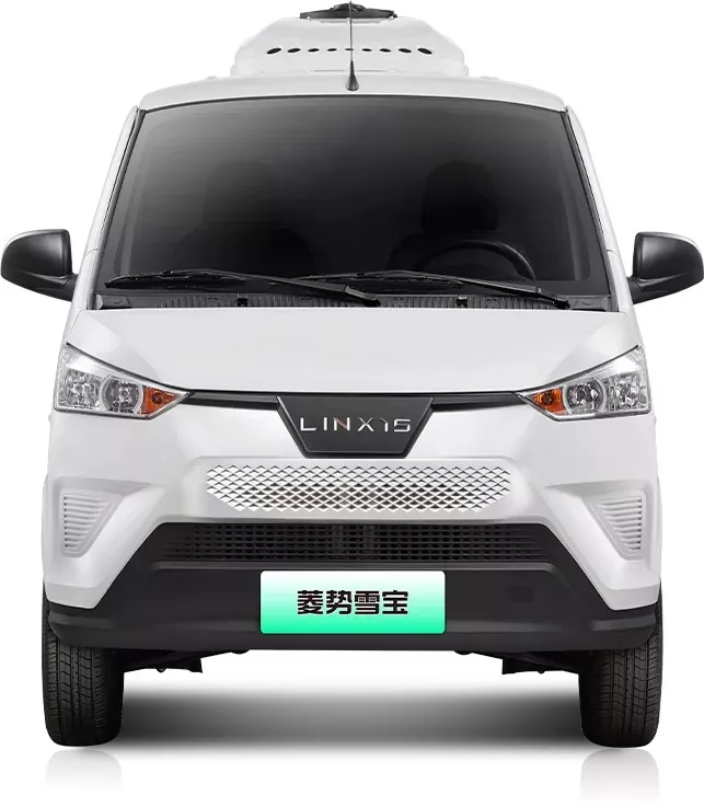 Wat mécht den elektresche Krighted Van sou wesentlech fir modernen Logistik?