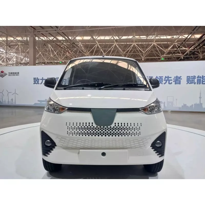 Wat ass en elektresche Mini Van?