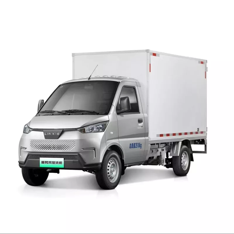 Zwee-Seater NEV Camion