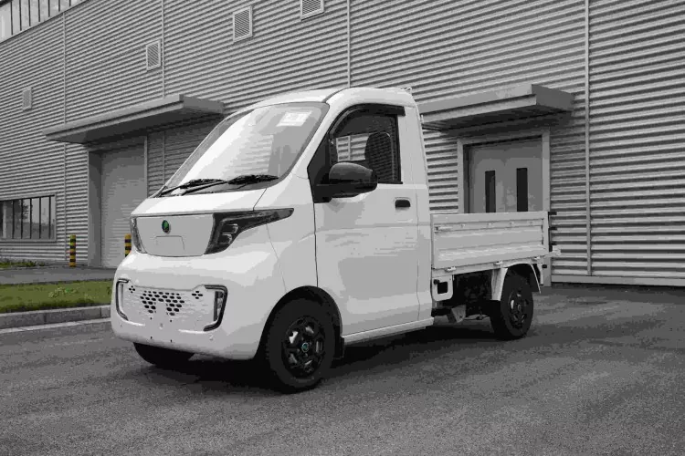 Wuling G050P Mini Cargo Camion