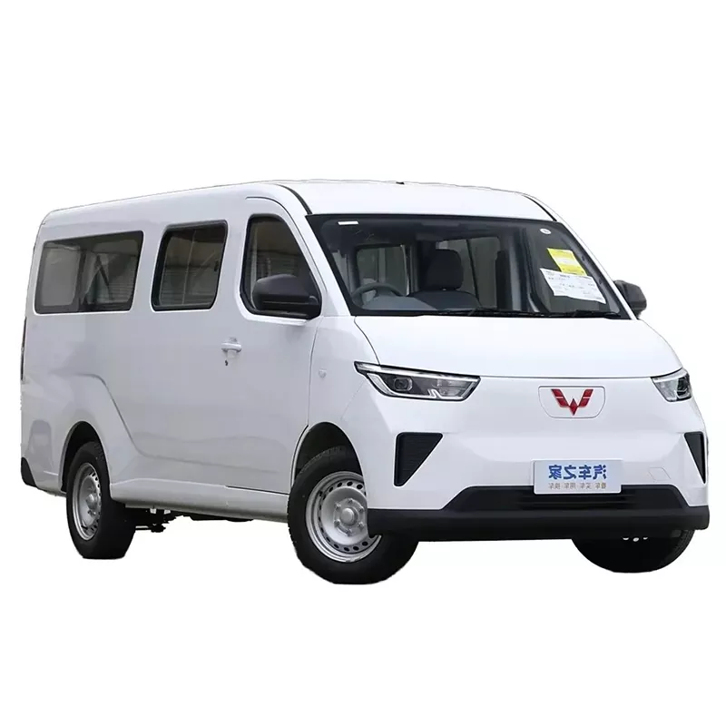 Gewënner Carry Van Van